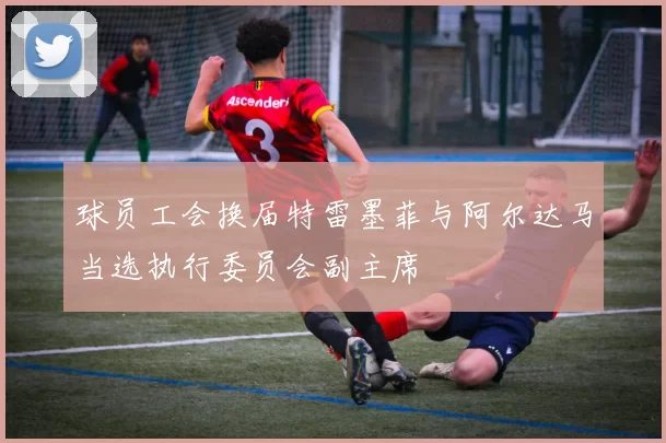 球员工会换届特雷墨菲与阿尔达马当选执行委员会副主席