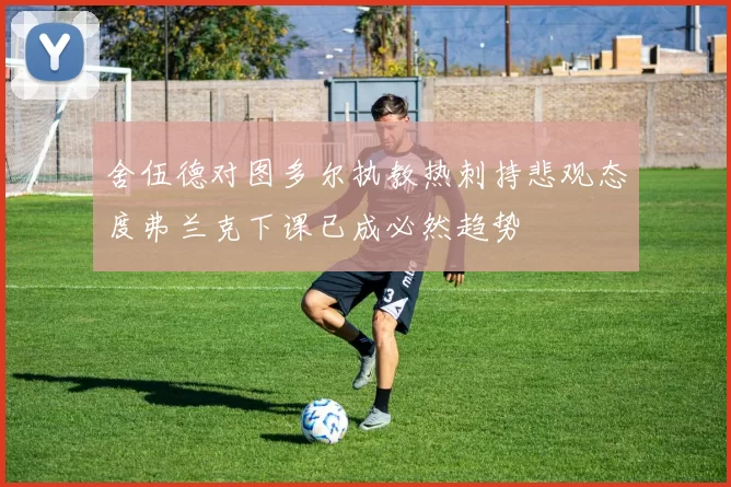 舍伍德对图多尔执教热刺持悲观态度弗兰克下课已成必然趋势