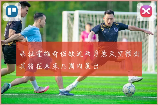 弗拉霍维奇伤缺近两月意天空预测其将在未来几周内复出